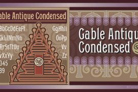 Gable Antique Cond SG Regular