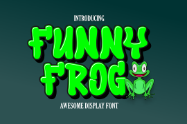Funny Frog Display