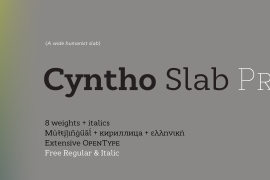 Cyntho Slab Pro Black