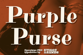 Purple Purse Pro