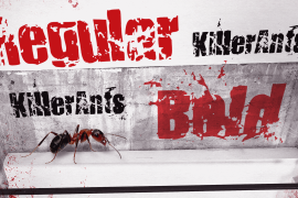 Killer Ants Bold