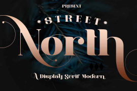 Street North Regular
