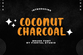 Coconut Charcoal Regular