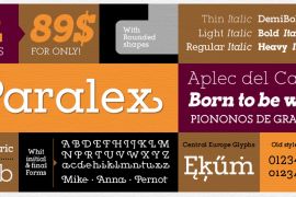 Paralex Heavy Italic