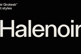 Halenoir Expanded Black Outline Oblique