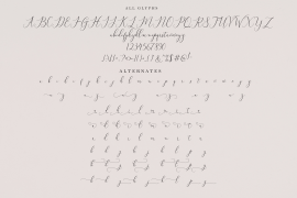 Bitthai Script Regular
