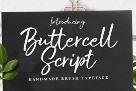 Buttercell Script Rough