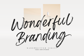 Wonderful Branding Regular