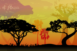 Trees Of Africa