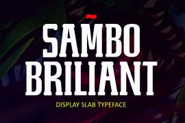 Sambo Briliant Regular