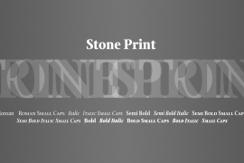 Stone Print SemiBold Italic