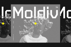 Moldiv Regular