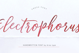 Electrophorus Regular
