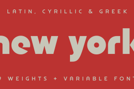 OTC New York Semi Bold Italic