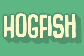 Hogfish
