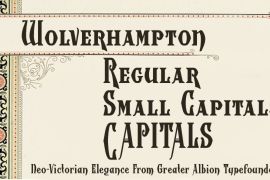 Wolverhampton Capitals