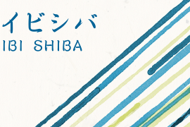 Seibi Shiba Bold