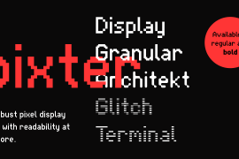 Pixter Terminal Bold
