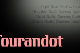 Tourandot Pro Echo