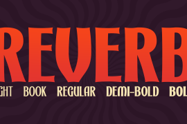 Reverb Book