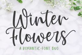 Winter Flowers Sans Regular