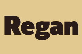 Regan Medium Italic