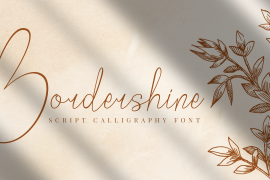 Bordershine Script Script