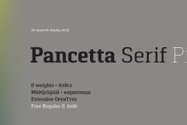 Pancetta Serif Pro Thin