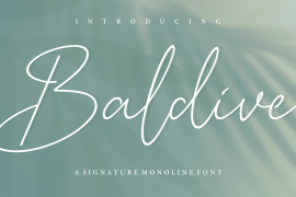 Baldive Regular