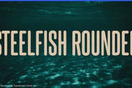 Steelfish Rounded Extra Bold
