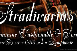 Stradivarius Stradivarius