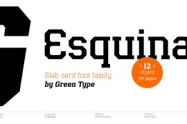 Esquina Thin Italic