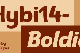 Hybi14 Boldie Regular