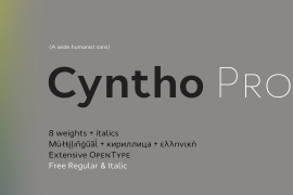 Cyntho Pro Italic