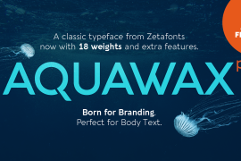 Aquawax Pro Heavy