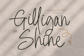 Gilligan Shine Regular