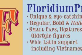 Floridium Pro LV Bold
