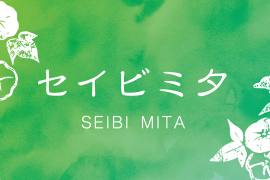 Seibi Mita Medum