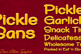 Pickle Sans