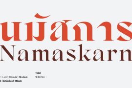 Namaskarn Thin