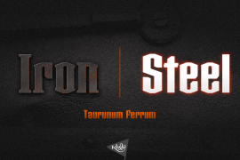 Taurunum Ferrum Steel