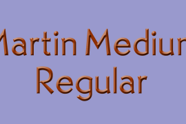 Martin Medium Regular