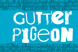 Gutter Pigeon Regular
