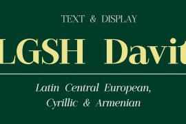 LGSH Davit Bold Italic
