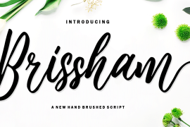 Brissham Regular