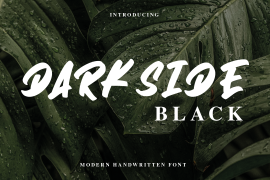 Darkside Black Regular