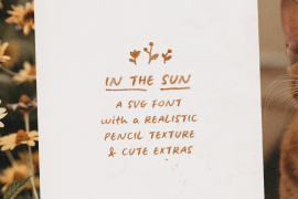 In The Sun Regular SVG