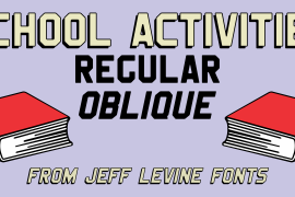 School Activities JNL Oblique