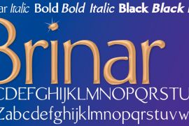 Brinar Black Italic