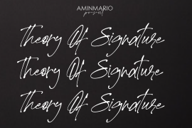 Theory Of Signature Regular